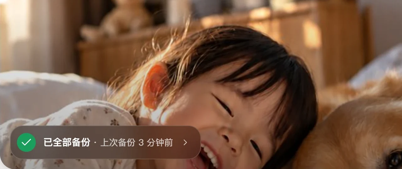 电脑端首页封面左下角：已全部备份，上次备份 3 分钟前